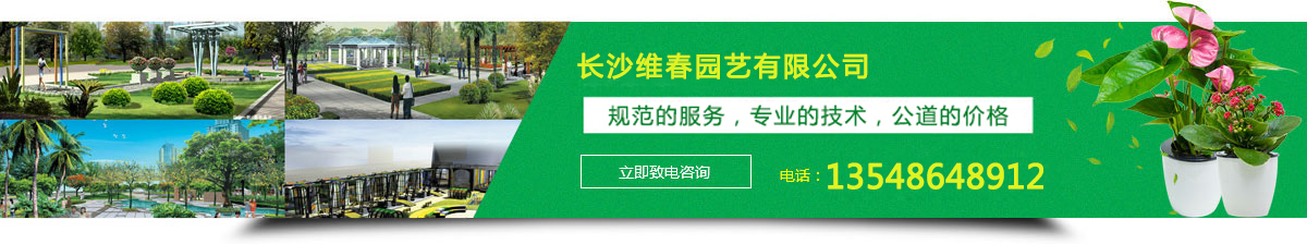 �Gֲ�������������U�������@�־G���޼����@�־G��ʩ��