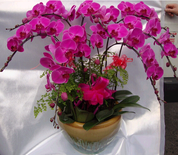 �M�Ϻ����m